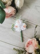 ����������. ����