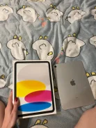 Apple iPad. 10.9 ������, ������ 256 �� ����