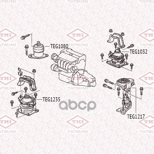 ����� ��������� | ��� | TEG1217 ����