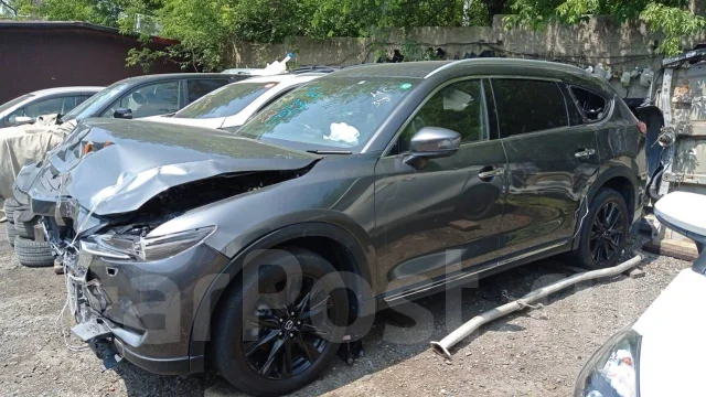 Mazda CX-8. 3DAKG2P, SHVPTS ����