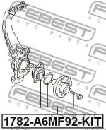 ������� �������� | ����� ����/��� | AUDI, Volkswagena6, Avant, A8, RS6 QU. Phaeton, A6, A6L, R8, A8, S8 QU 1782A6MF92KIT ����