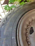 Firestone. ����� at, 2018 ���, �/�, ����� 60 % ����