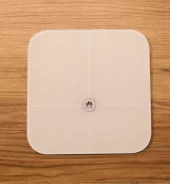 ���� ���������. ����