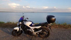Suzuki SFV 400 Gladius. 400����. ��., ��������, ���������, ������ �� �� ����