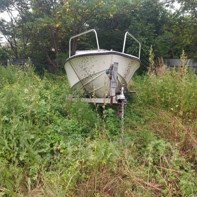 Yamaha Fisher 17. ��������� ���������, 100��.�., ������ ����