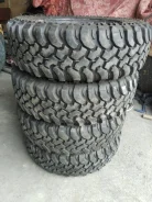 Forward Safari 540. ����� at, 2023 ���, �/�, ����� �� 5 % ����