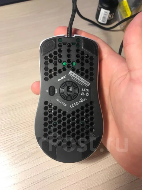 ���� ������������. ����