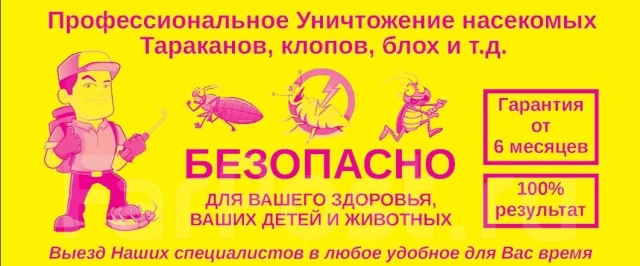 Проверенно Дезинсекция 100 % в Хабаровске