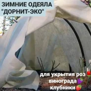�����������. ��� ����� �� ���������� ����