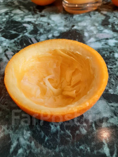 �������������. ����