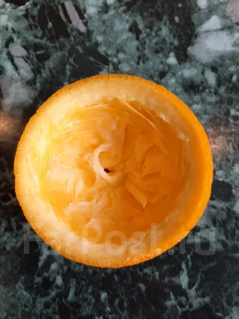 �������������. ����