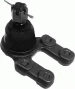 ����� ������� | ����� ����/��� | Sufix SG1248 SG1248 ����