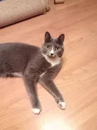 �����. ����