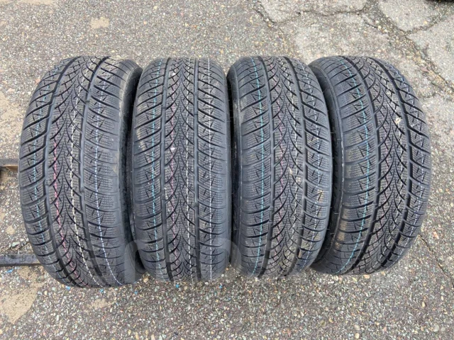 Triangle WinterX TW401. ������, ��� �����, 2026 ���, ����� ����
