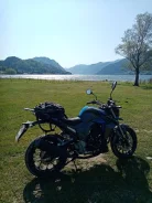 Regulmoto T-Leopard 300. 300����. ��., ��������, ���������, ������ �� �� ����