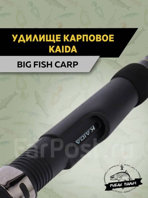 Карповые Kaida