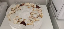 ������� ������, �������. ����