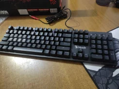 ����������. ����