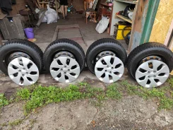 Nordman 5. ������, ��� �����, �/�, ����� 60 % ����