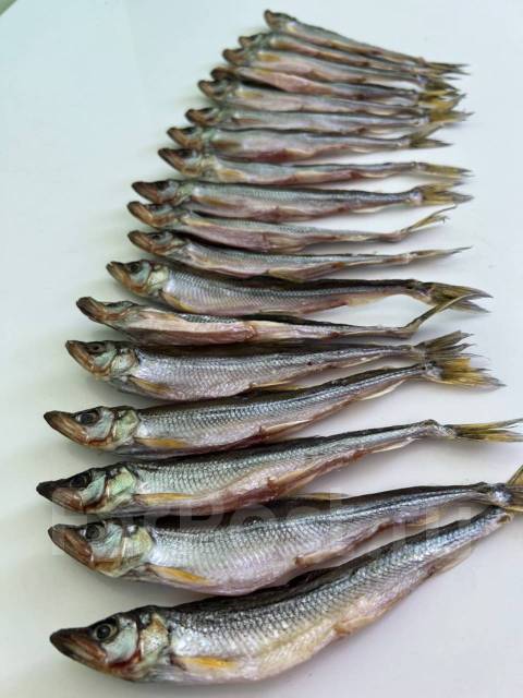 Корюшка Сушёная, в наличии. Цена: 700₽ в Хабаровске