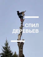 ������� ������ �� �������! ���� ��������, �������� �����, �����, ����� ����