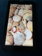 RoverPad ����