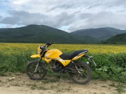 Regulmoto SK 200-9. 200����. ��., ��������, ���������, ������ �� �� ����