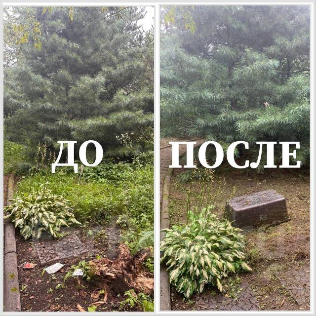 Покос травы, уборка участка, спил деревьев кустов обрезка веток вывоз в ...