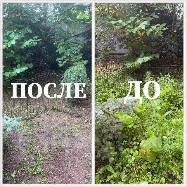 Покос травы, уборка участка, спил деревьев кустов обрезка веток вывоз в ...
