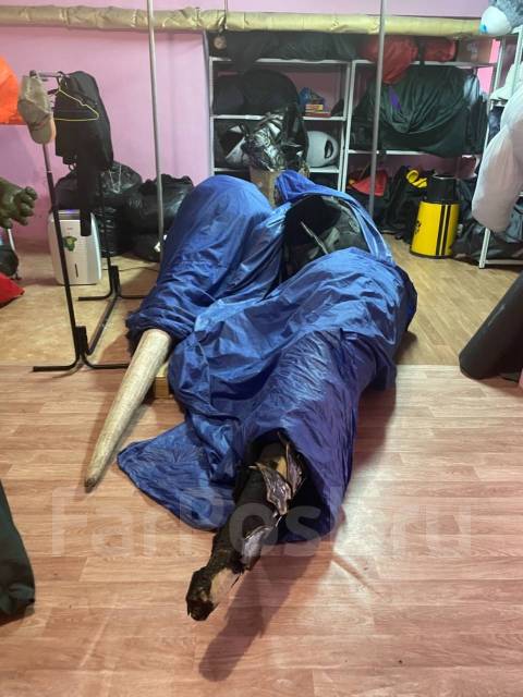 Помощник швеи. Швея на склад. Помощник по хозяйству. Подработка 2000р ...