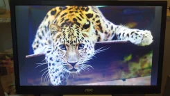 AOC. 19", ���������� �� (LCD, LED, QLED) ����
