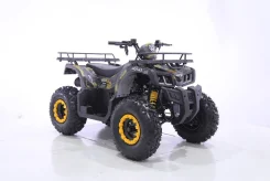 Motax ATV Grizlik T200. ��������, ��� ���\���, ��� ������� ����