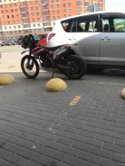 Progasi Super Max 300. 300����. ��., ��������, ��� ���, ������ �� �� ����