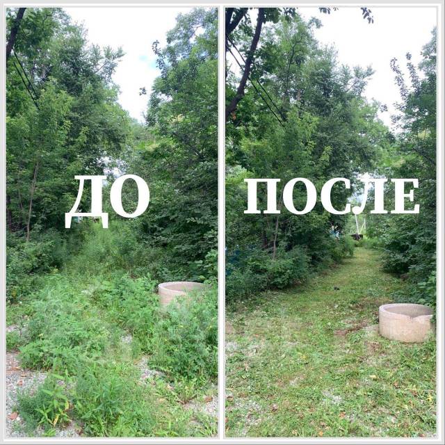 Покос травы, уборка участка, спил деревьев кустов обрезка веток вывоз в ...