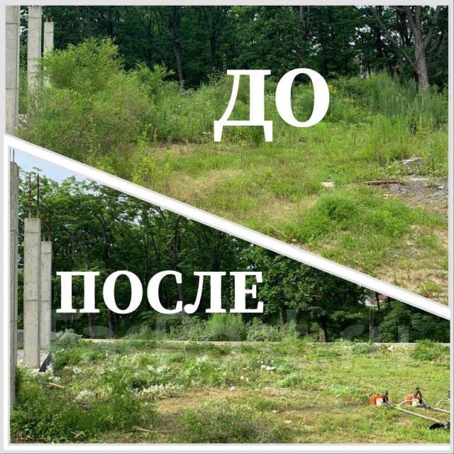 Покос травы, уборка участка, спил деревьев кустов обрезка веток вывоз в ...