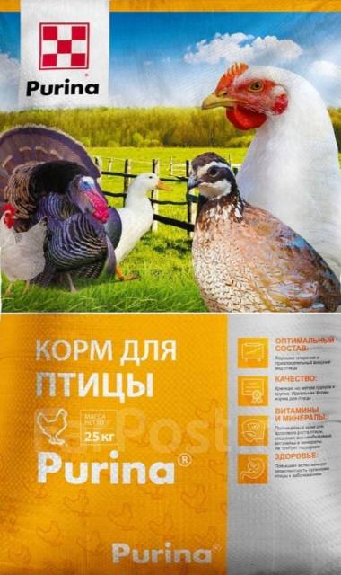 корм пурина цыплята. комбикорм пурина для индюшат. комбикорм для цыплят пурина. комбикорм пурина для кур несушек. комбикорм стартер для яичной птицы purina пурина 25 кг.