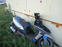 Irbis. 150����. ��., ��������, ��� ���, ������ �� �� ����