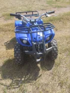ASA ATV 50. ��������, �� ����