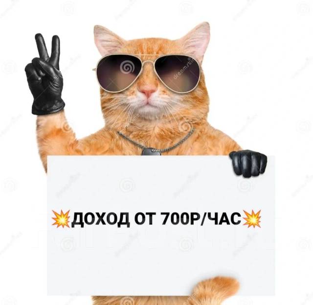 Курьер пеший или авто (СВОБОДНЫЙ ГРАФИК, ЕЖЕДНЕВНАЯ ОПЛАТА), работа в ...