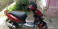 Stels Skif 50. 49����. ��., ��������, ��� ���, ������ �� �� ����
