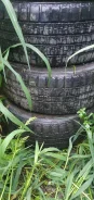Koryo. 8.0x17", 5x114.3, ET-50, �� 63,0���. ����