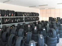Bridgestone Winter Radial WT-03. �����������, ����� ����