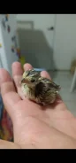 ������. ����