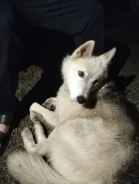 ������� ������ � ������ ���� ����
