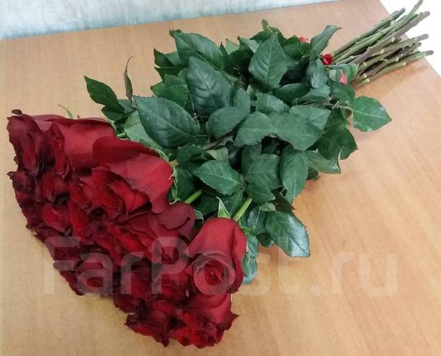 17 роз за 1000 рублей курск фото