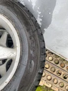 Toyo 800 Plus. ������, ����������, �/�, ����� �� 5 % ����
