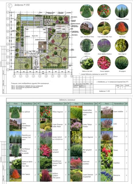 Ландшафтный архитектор, работа в ИП Семашко Н.В. во Владивостоке ...