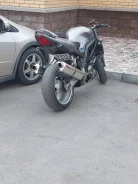 Suzuki SV 1000. 1 000����. ��., ��������, ���������, ������ �� �� ����