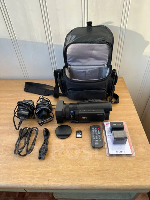 Sony FDR-AX100E ����