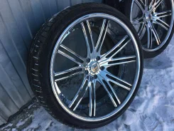 MLJ Asanti. x22" ����